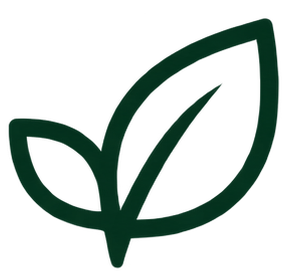 icon1